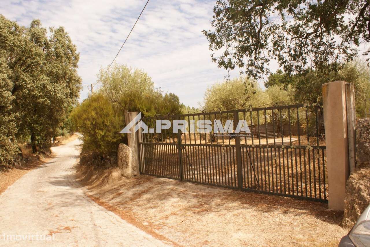 Quinta para Venda em Orca - Fundão-27