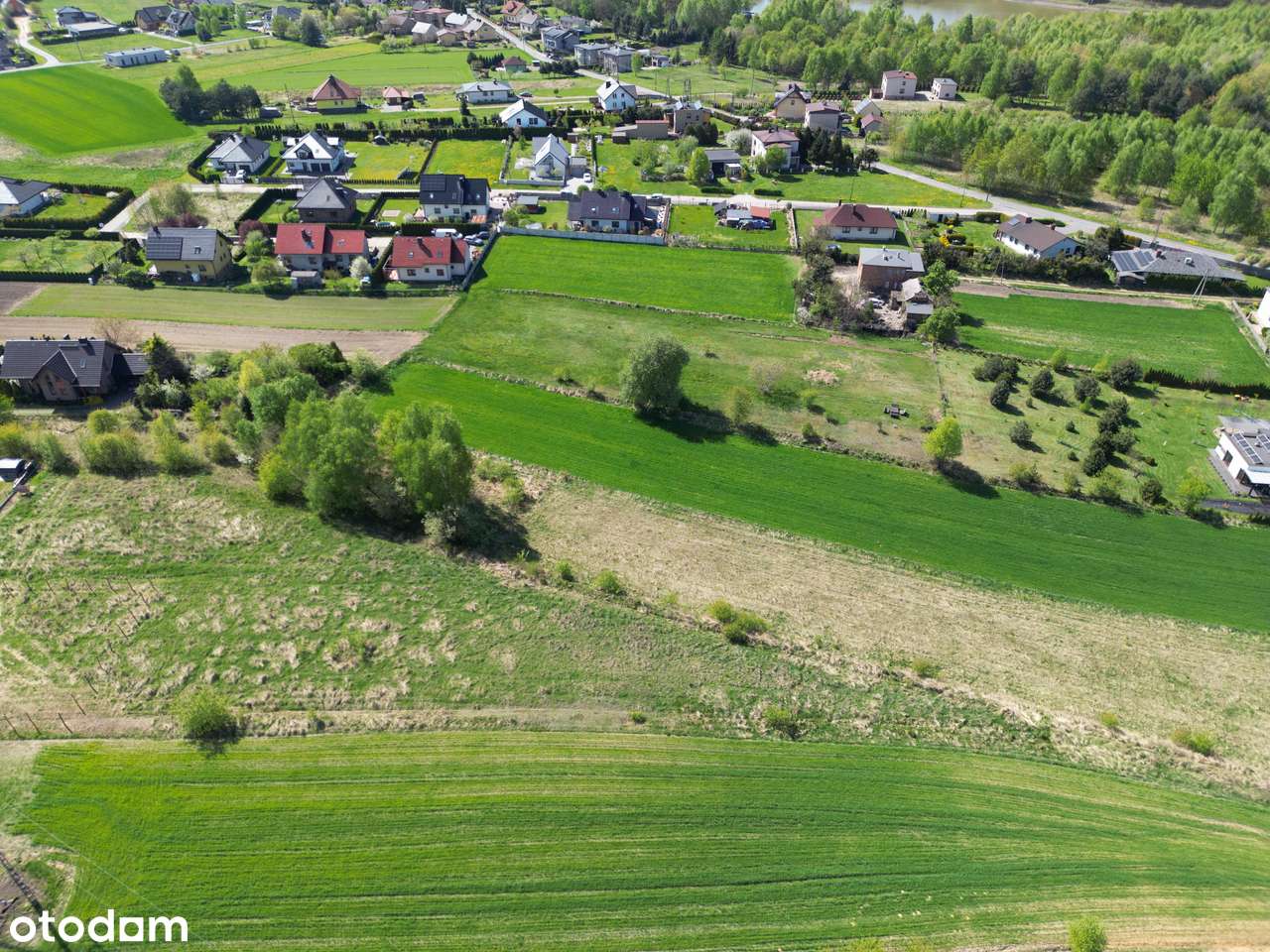 Działka w Rybniku-1