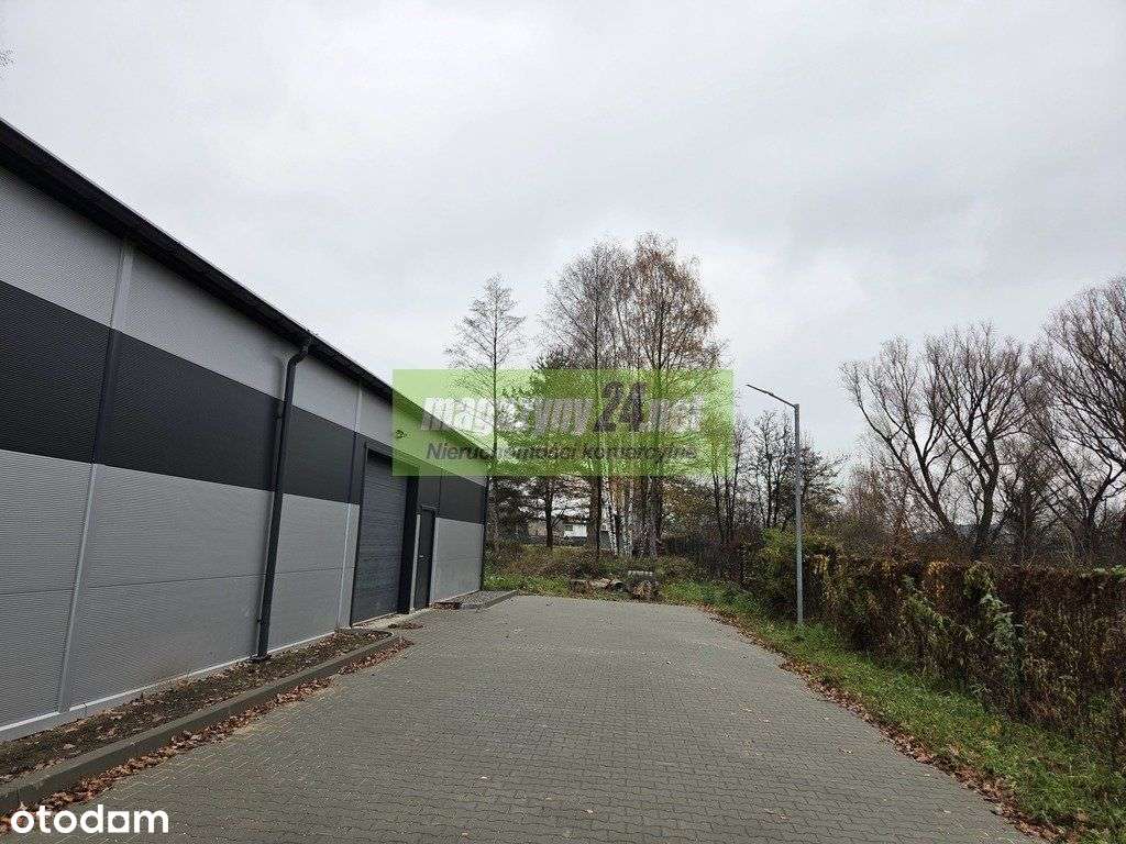 Magazyn 600m2 przy A2 gm. Wiązowna - Pełny obrazek: 5/8