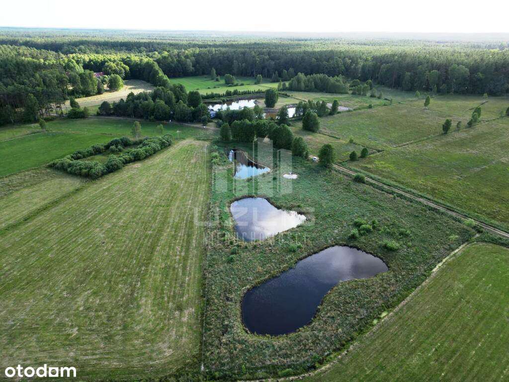 Serce Borów Tucholskich - Unikat !! - Pełny obrazek: 3/10