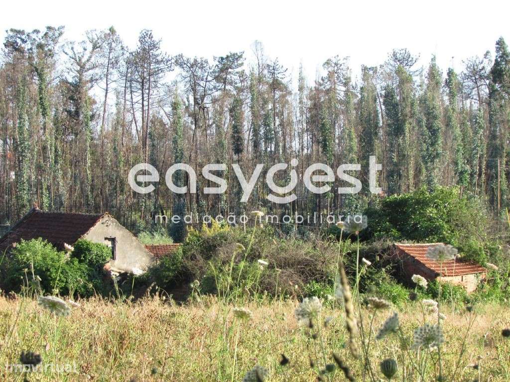 Terreno misto com 30 metros de frente em Aveiro (Carregal) - Grande imagem: 3/10