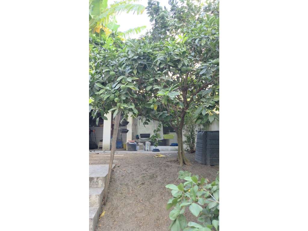 **Venda de Apartamento T2 com Jardim Privativo próximo da Avenida d...-52