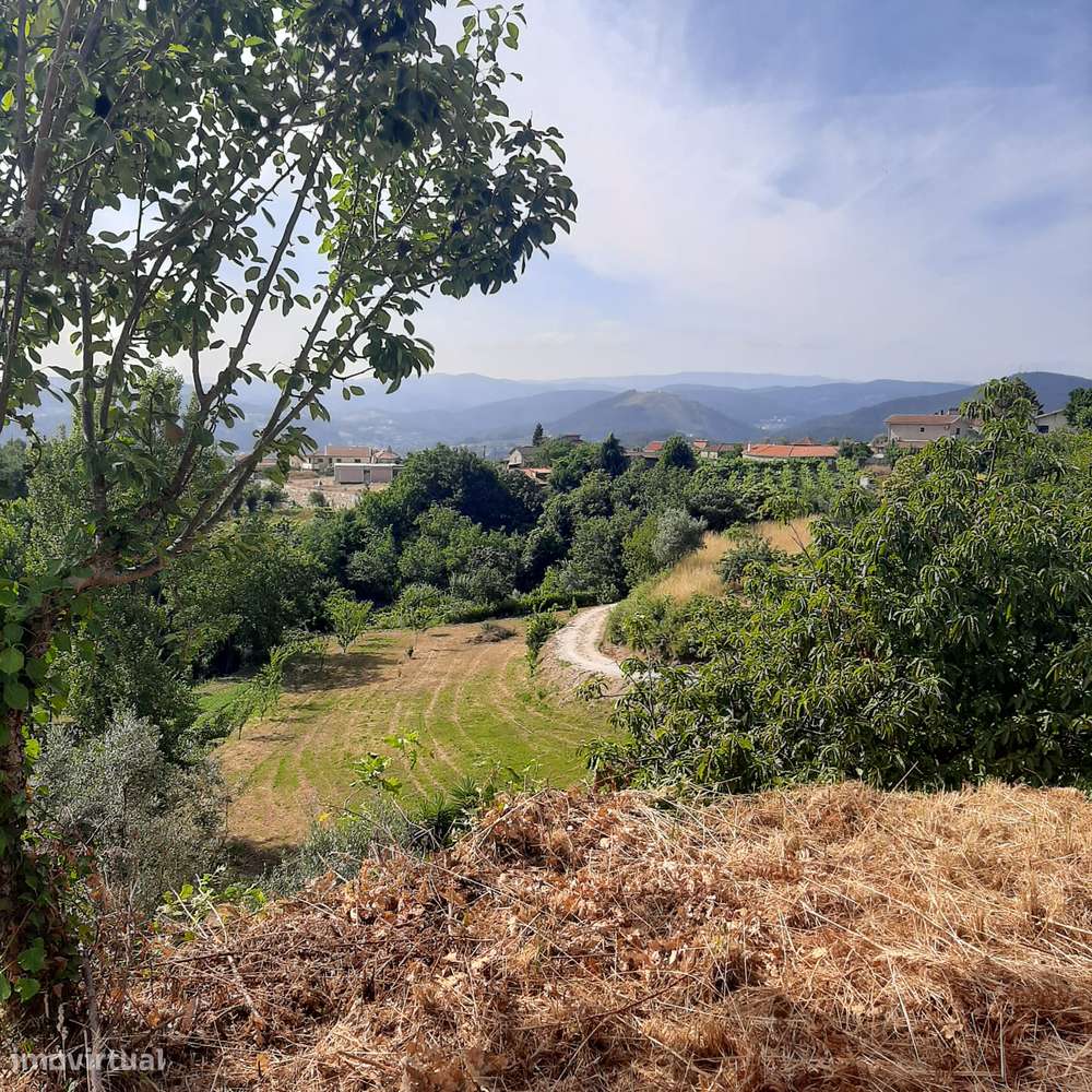 Casa em pedra para reconstruir Canelas Penafiel-24