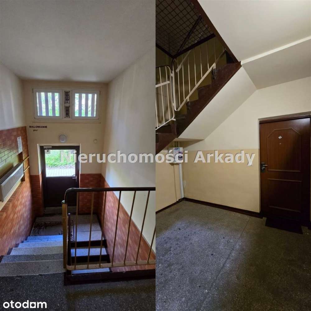 Beskidzka / parter-13