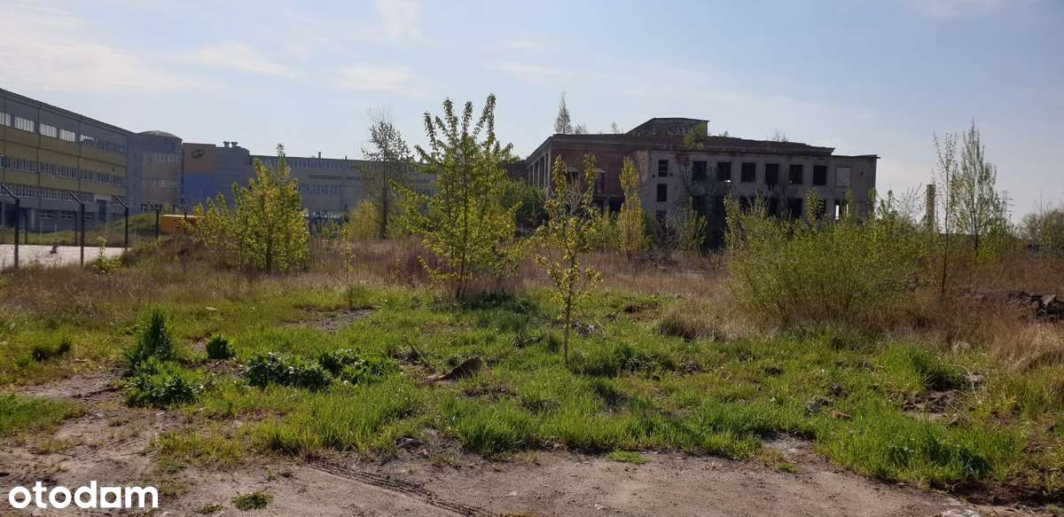 Działka inwestycyjna w strefie ekonomicznej - Pełny obrazek: 2/9