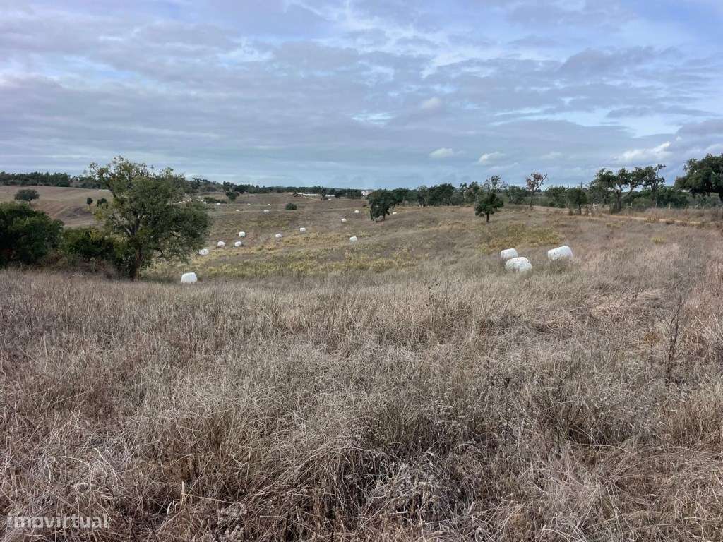 Monte Típico Alentejano para Reabilitar - Santiago do Cacém-8