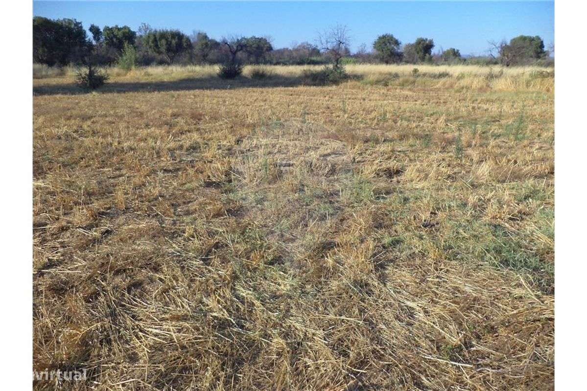 Quinta T0 para venda - Grande imagem: 3/12