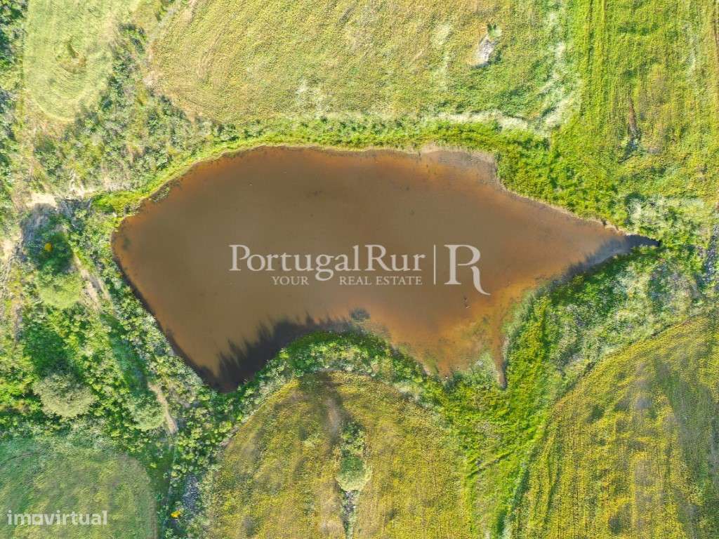 Herdades de Caça com 1300 Hectares, junto do rio Guadiana-54