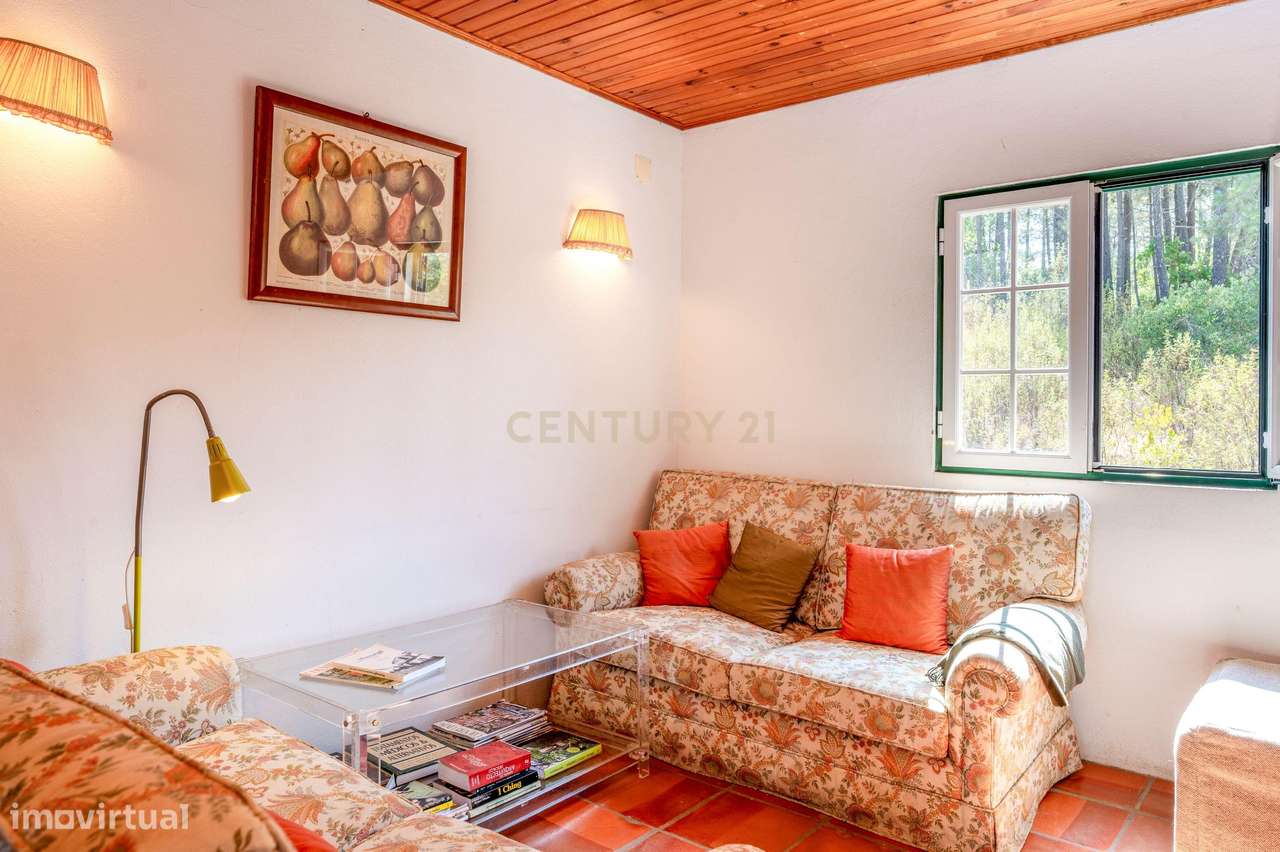 Moradia em Farinha Branca, Montargil-14