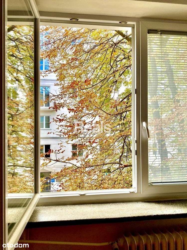 2 pok. kamienica pl. Dąbrowskiego - Śródmieście-5