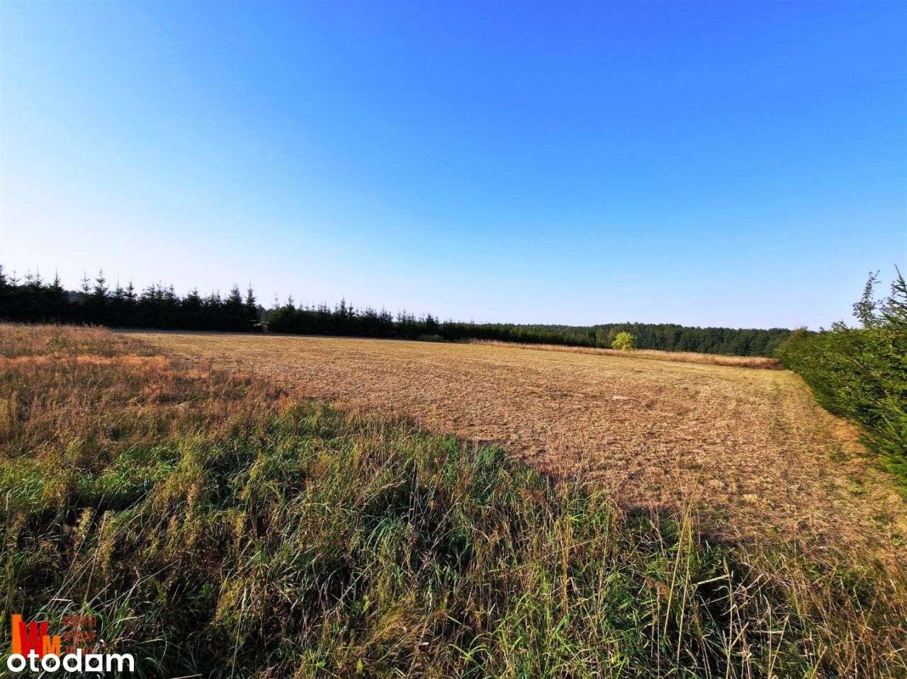 Działka obok lasu, blisko miasta Ełk-4