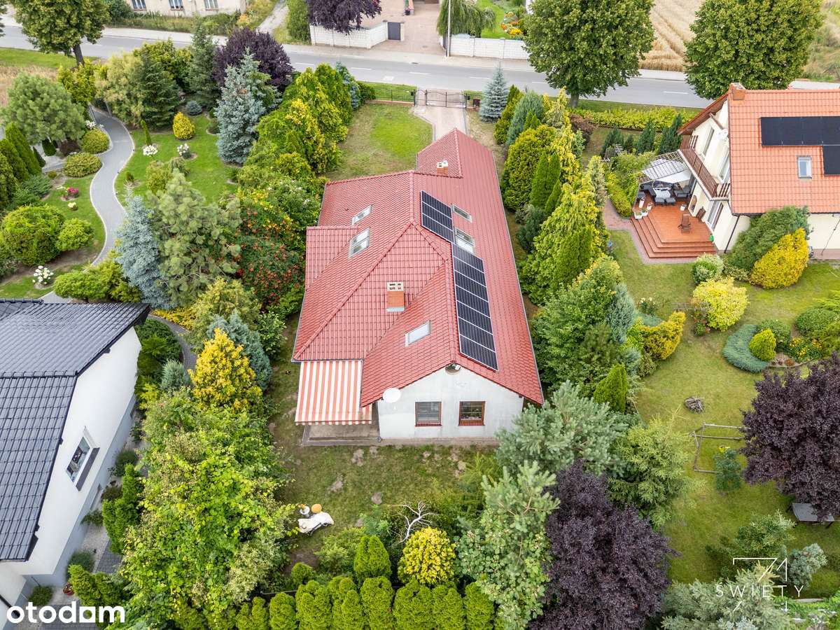 Parterowy dom z ogrodem w Buku | 4 pokoje, garderoba, garaż, poddasze - Pełny obrazek: 4/11