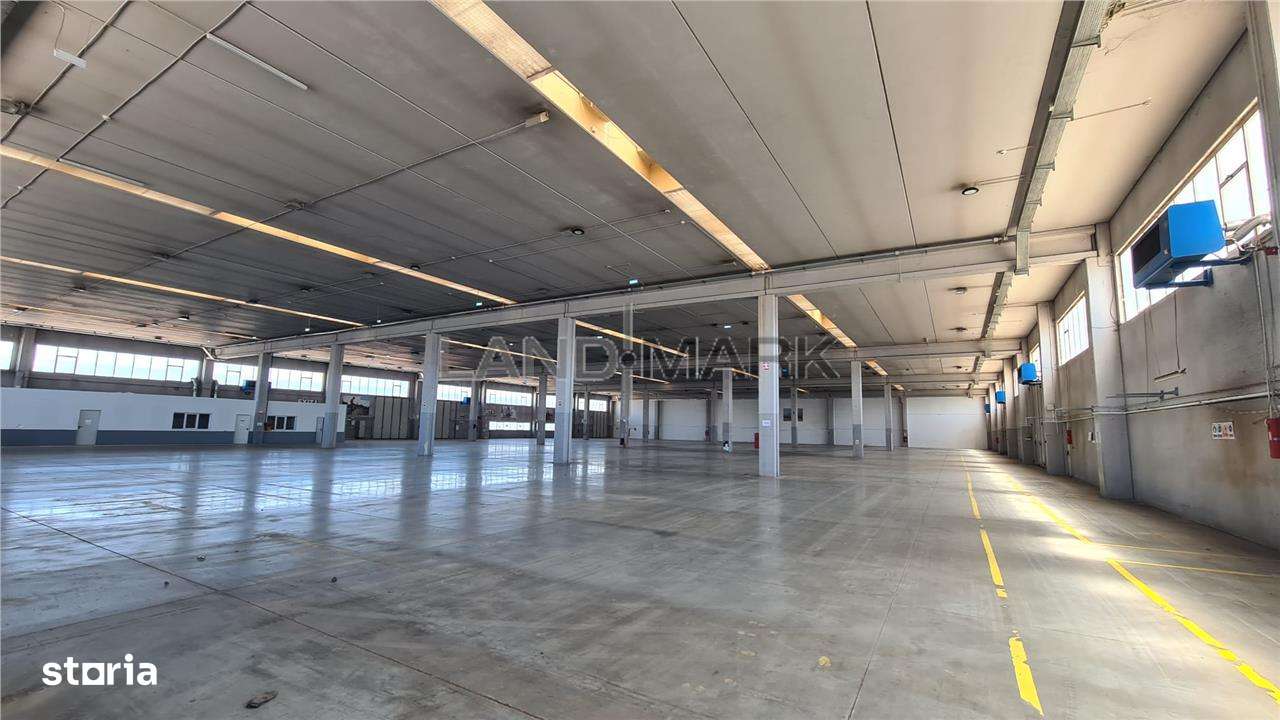 Hala industriala Timisoara, 2500 - 7500 mp , Calea Sagului - Imagine principală: 5/11