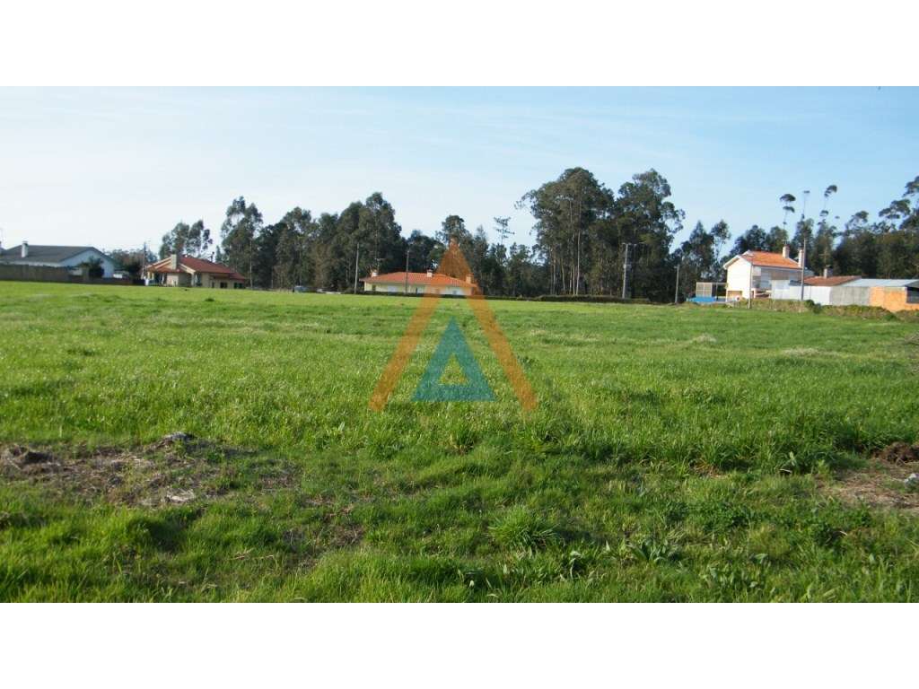 Terreno a 5 km de Santa Maria da Feira - Grande imagem: 2/3