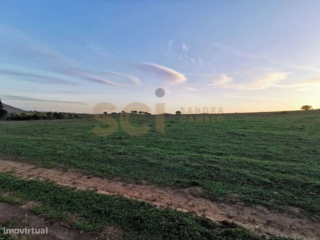 Herdade em Vila Verde de Ficalho, com cerca de duzentos hectares - Grande imagem: 5/60
