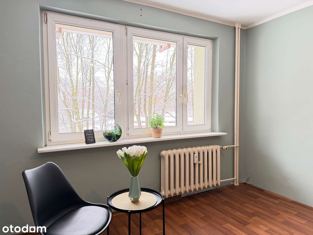 Twoje nowe M od podstaw! 47 m² gotowe na remont i nowe życie! - Pełny obrazek: 1/13