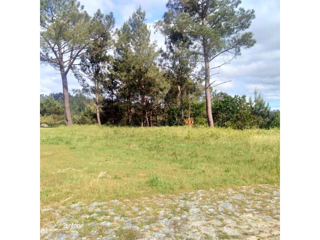 Terreno de Construção em Gondar - Grande imagem: 5/5