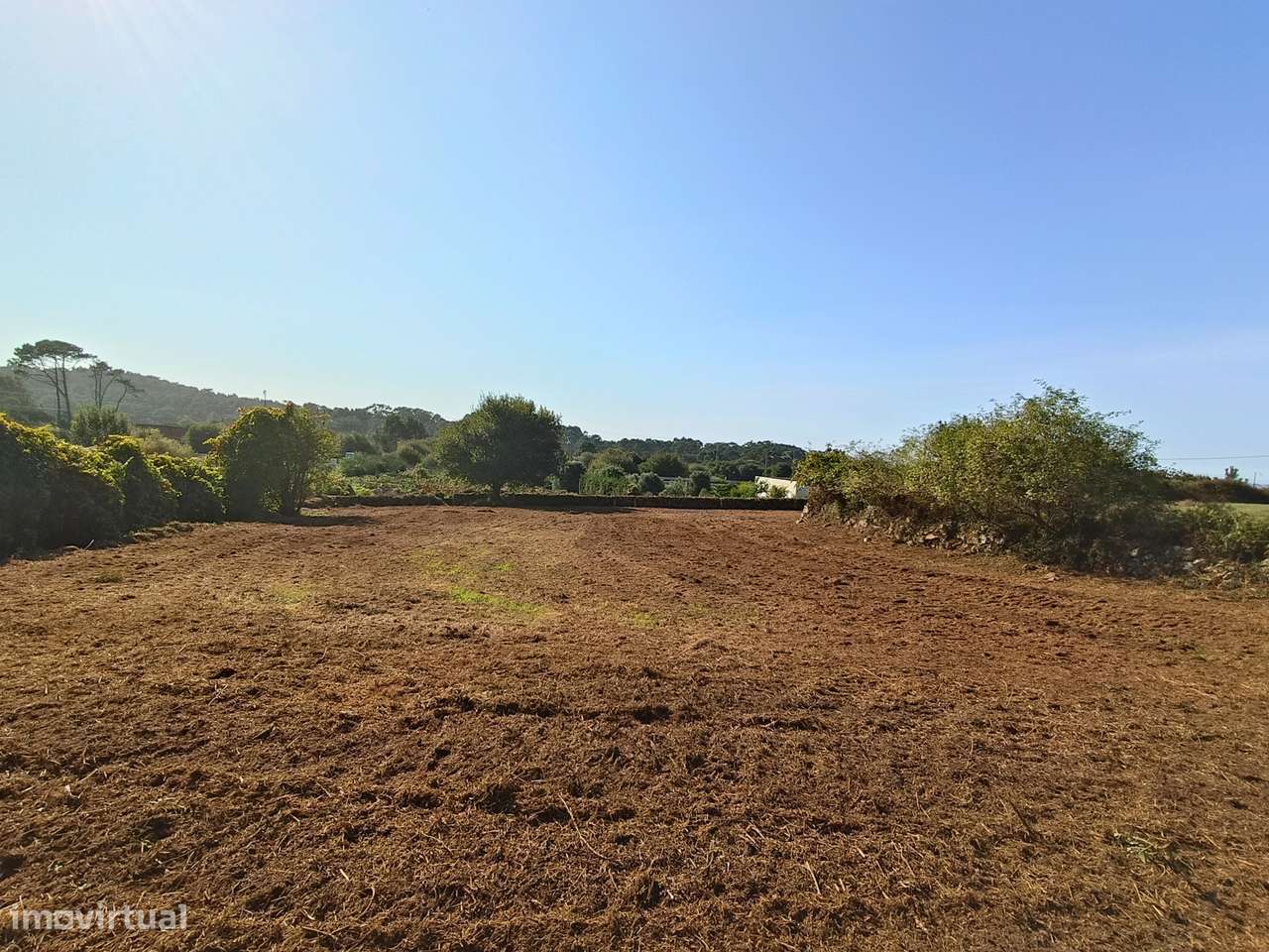 Terreno, Afife - Grande imagem: 5/10