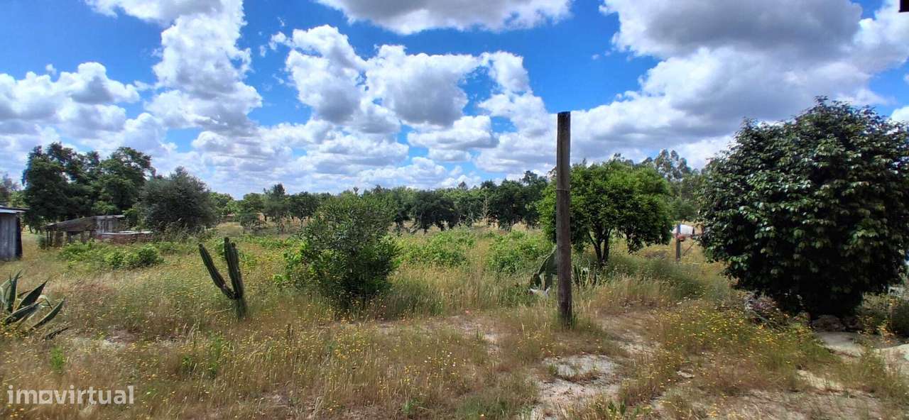 Casa de Campo - Moradia T2 com quintal -Coruche / Lamarosa / Santarém-8