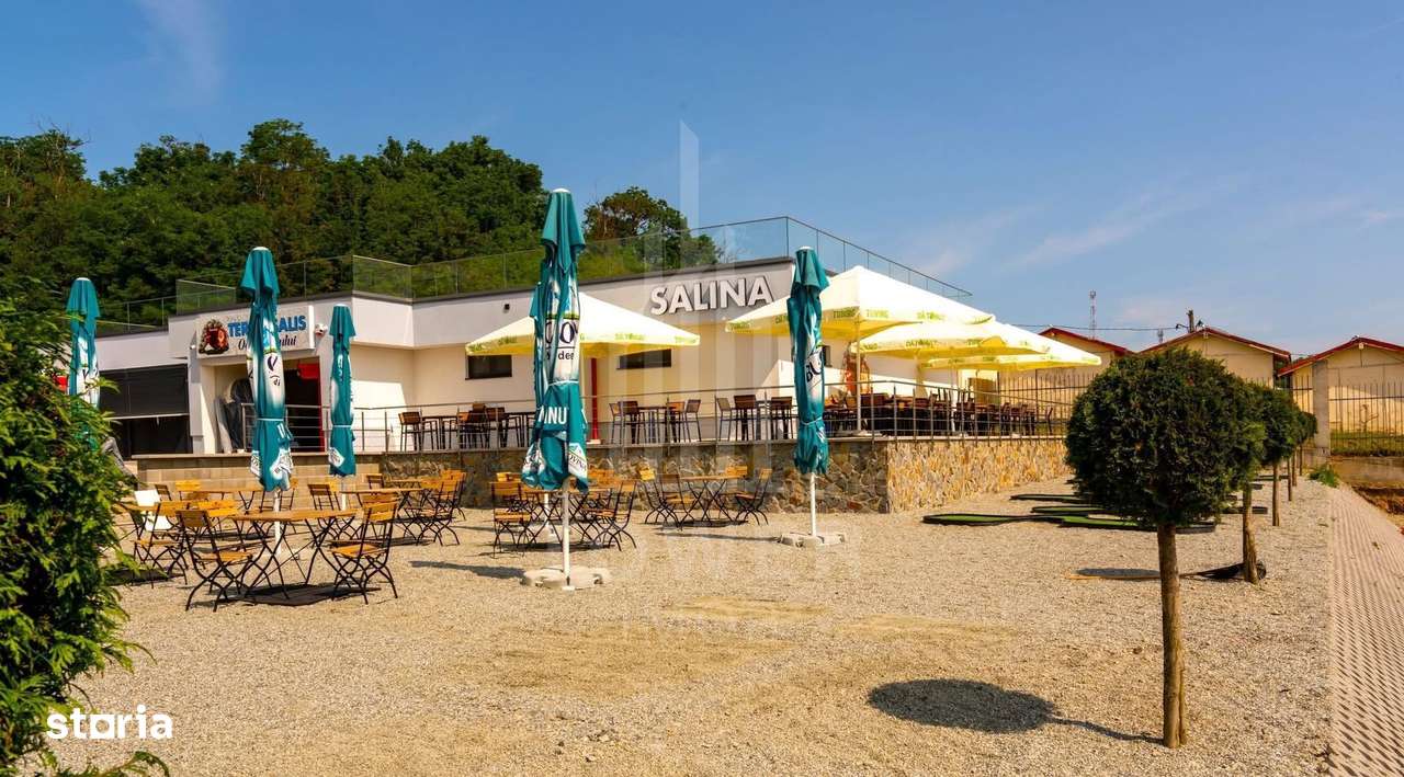 Afacere Profitabilă de Vânzare–Salină Artificială Funcțională în Ocna - Imagine principală: 4/18