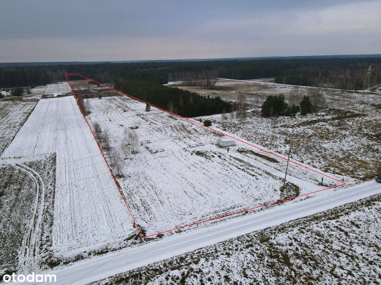ELIASZUKI Dz o pow 4,4310 ha z własnym Puszczańskim Lasem BEZ SASIADÓW-15