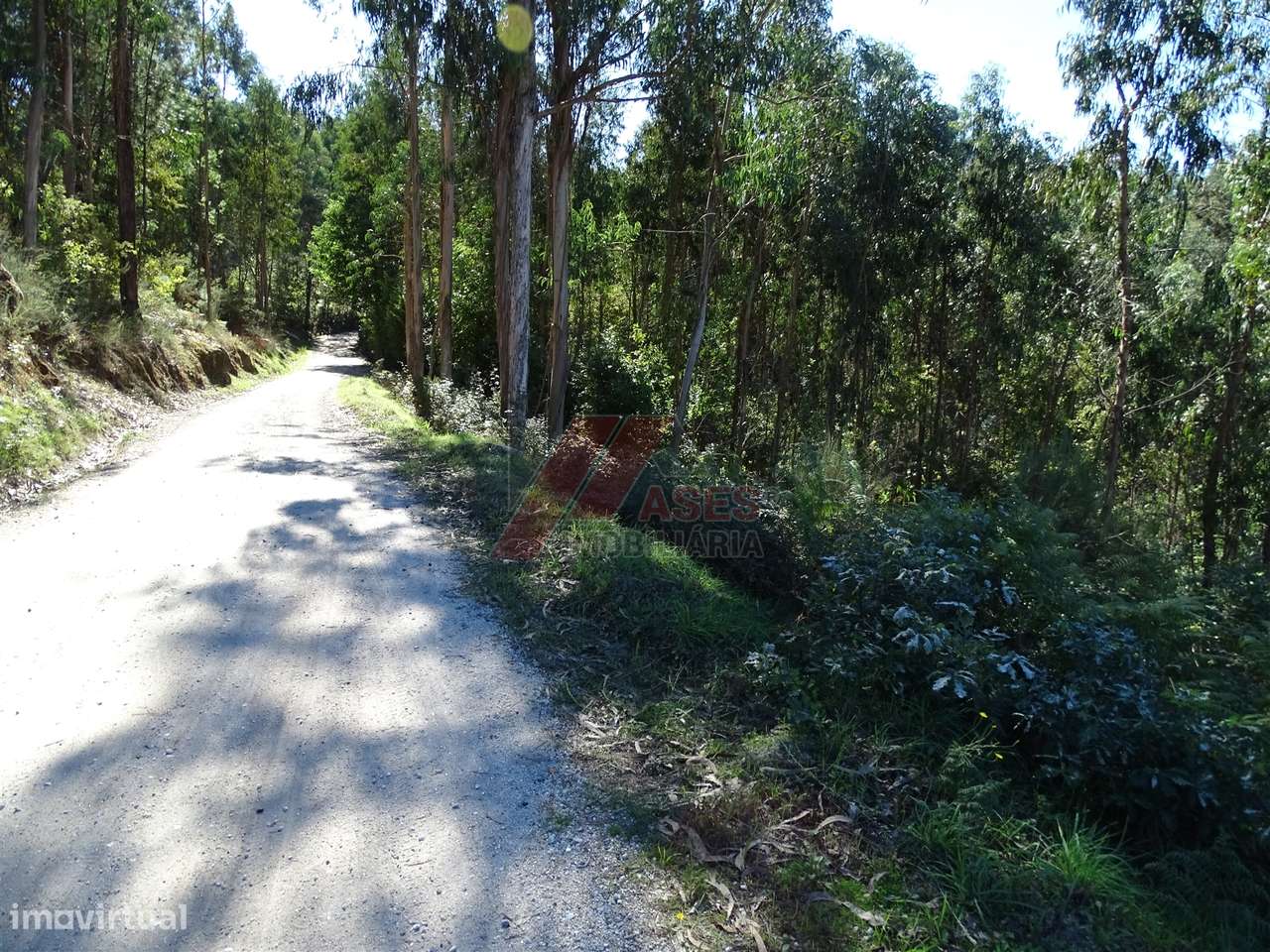 TERRENO PARA CONSTRUÇÃO EM SERAFÃO - FAFE!-6