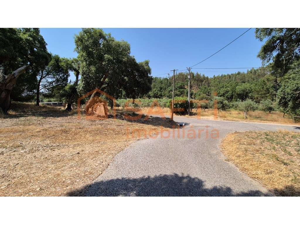 Quinta em Bemposta, Abrantes - Grande imagem: 4/16