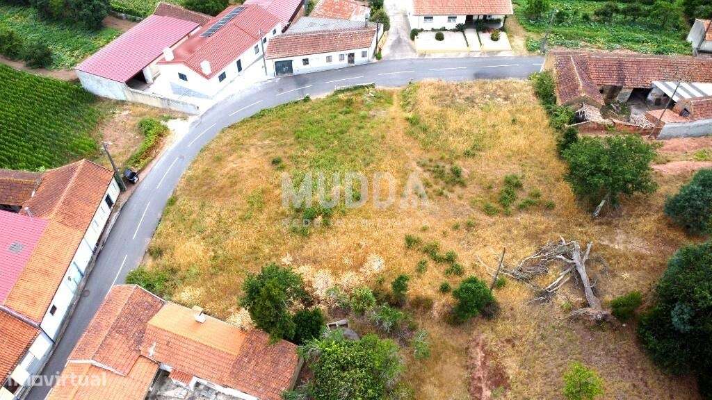 Terreno | 1290 m2 a 15 Minutos de Aveiro |Espaço e Liberdade-7