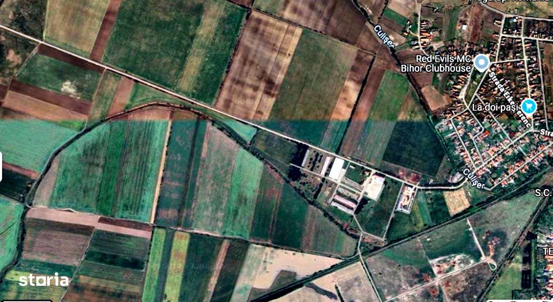 GAMINVEST Teren extravilan 15000 mp, Salonta, Bihor V4089 - Imagine principală: 1/1