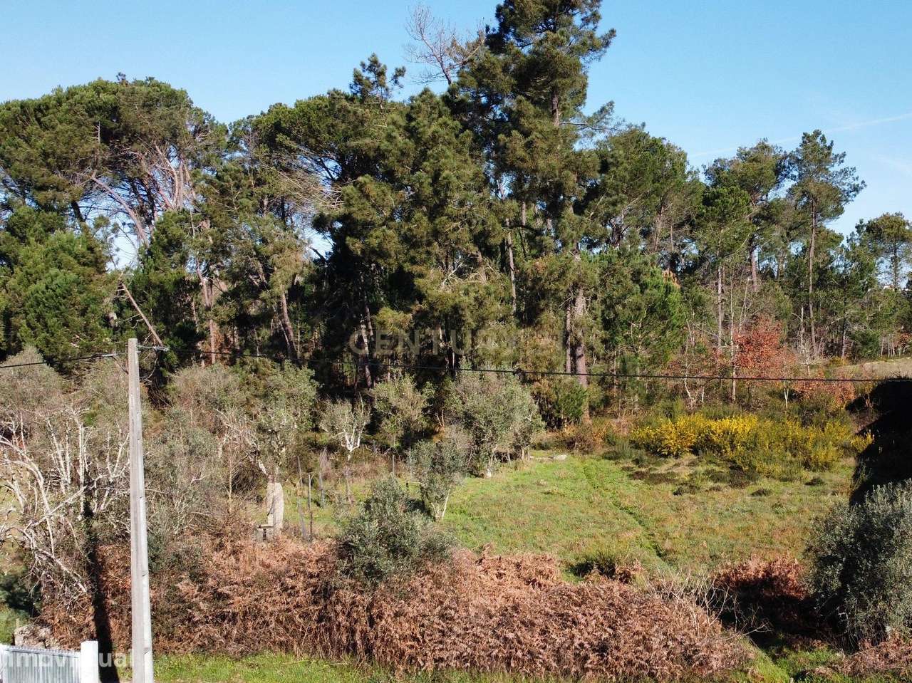 Terreno Rústico - Grande imagem: 2/5