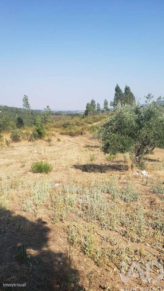 Moradia isolada T4 em Cardigos de 158,85 m2-27