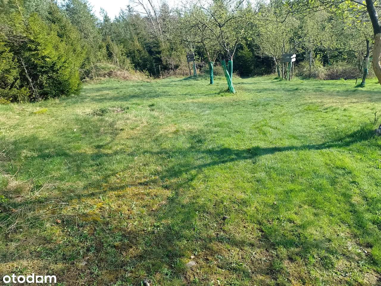 Widokowa działka w Zawoi-2