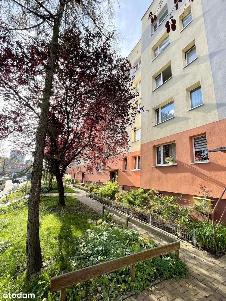 3 pokoje w świetnej lokalizacji, Katowice-Bogucice-12