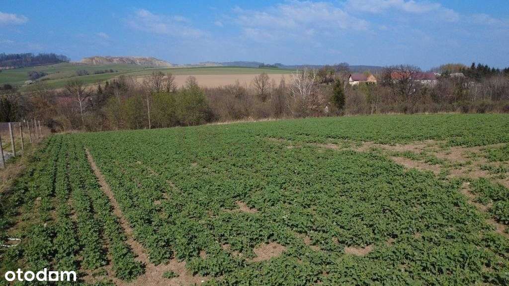 Działka budowlana położona w świetnej lokalizacji! - Pełny obrazek: 3/4