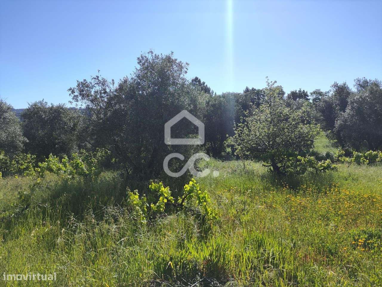 Terreno com 5710 m2 para construção, junto ao IC3, junto de Maçãs de D - Grande imagem: 5/14