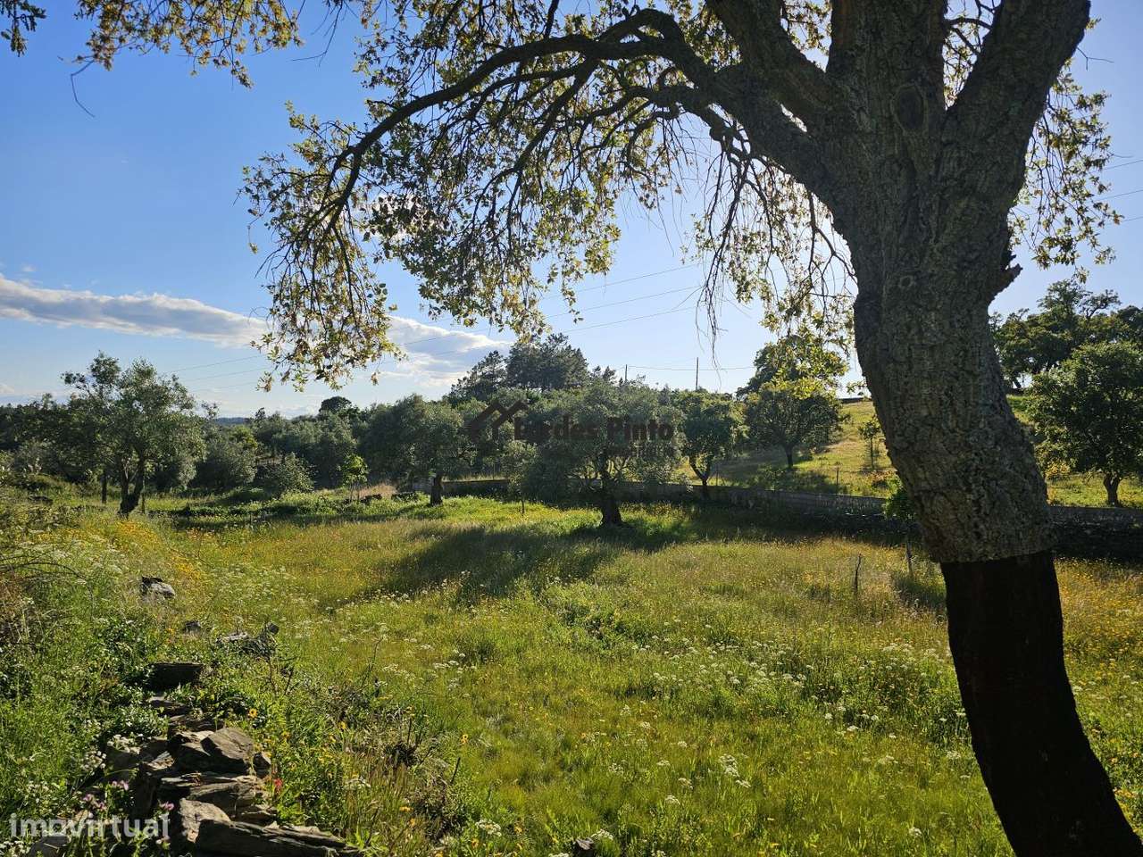 Quintinha em Maxiais - Grande imagem: 5/10