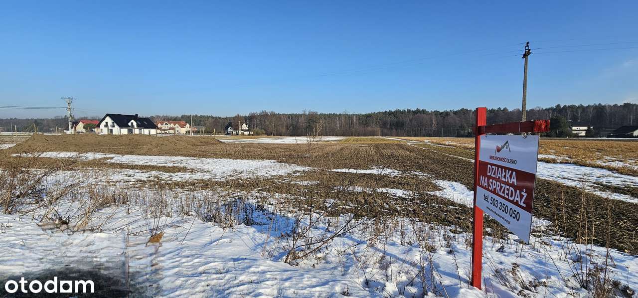 Działka Wojciechów w pobliżu lasu i ośrodka wypoczynkowego!-4