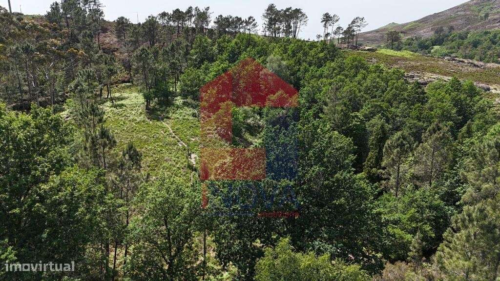 Terreno para projeto Turístico, Gerês-24