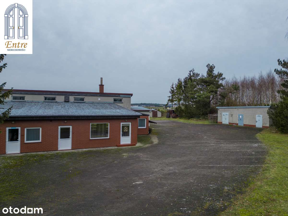 Zakład produkcji spożywczej. - Pełny obrazek: 5/9