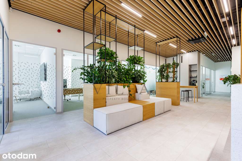 Sadyba – w pełni wykończony lokal 649 m² - Pełny obrazek: 3/11