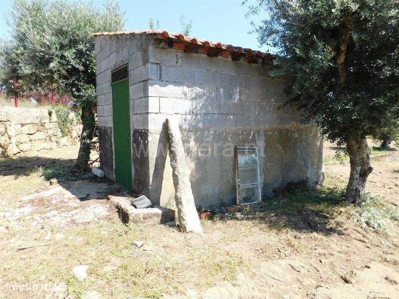 Terreno / Gouveia, Vila Nova de Tazem - Grande imagem: 5/20