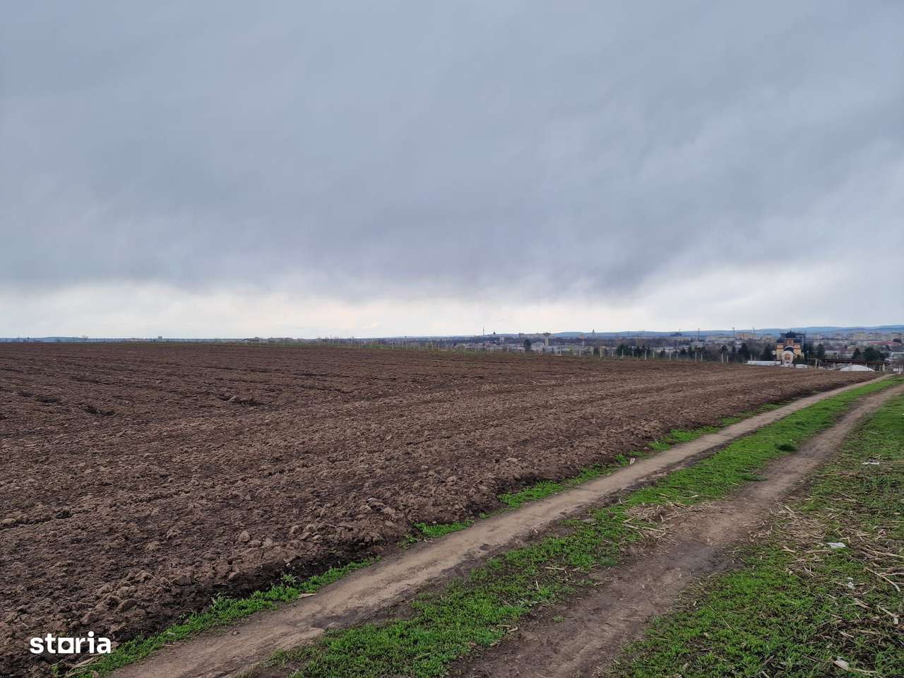 Teren 10,000mp Bacau / Strada Alexandru Safran-12
