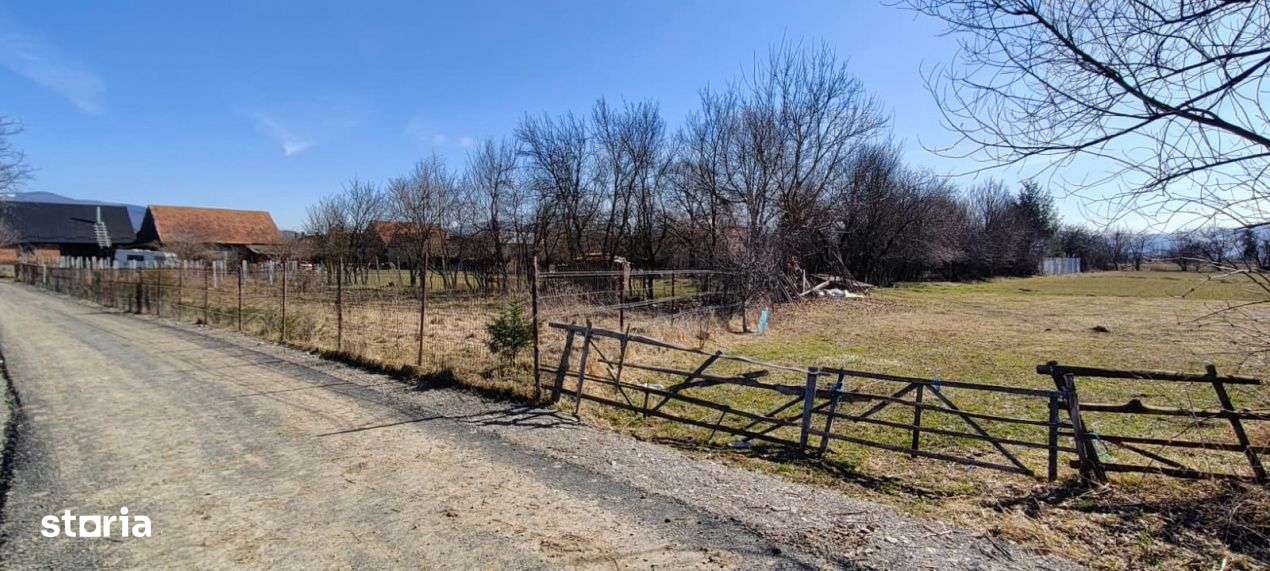 Lot de teren generos in zona linistita si usor accesibila-1