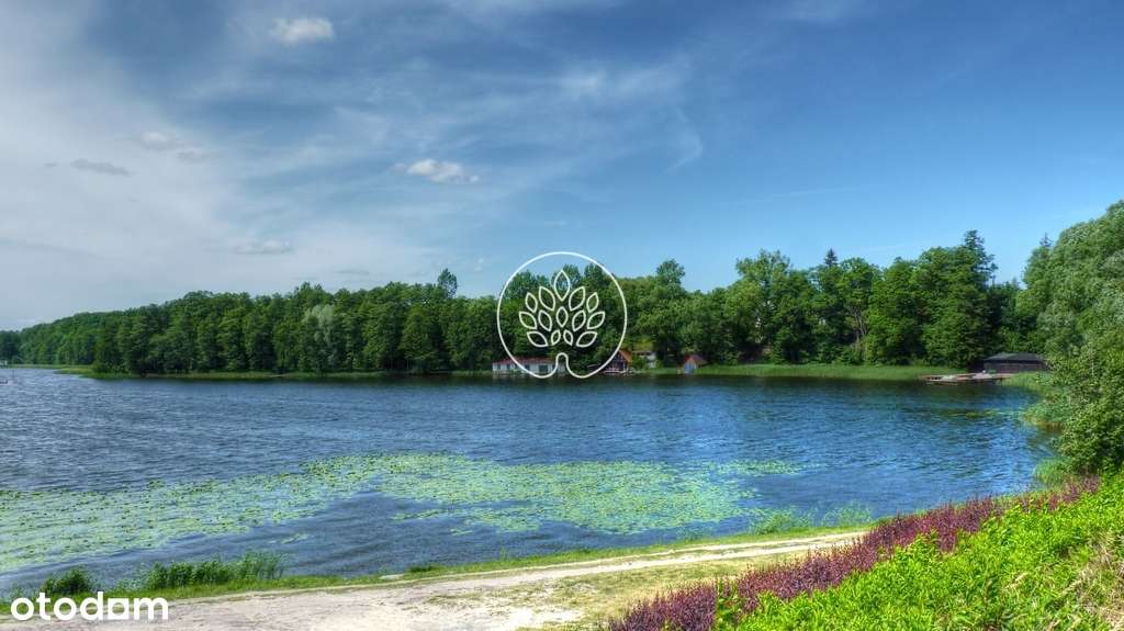 Wyjątkowa działka 8661 m² z linią brzegową jeziora - Pełny obrazek: 5/5