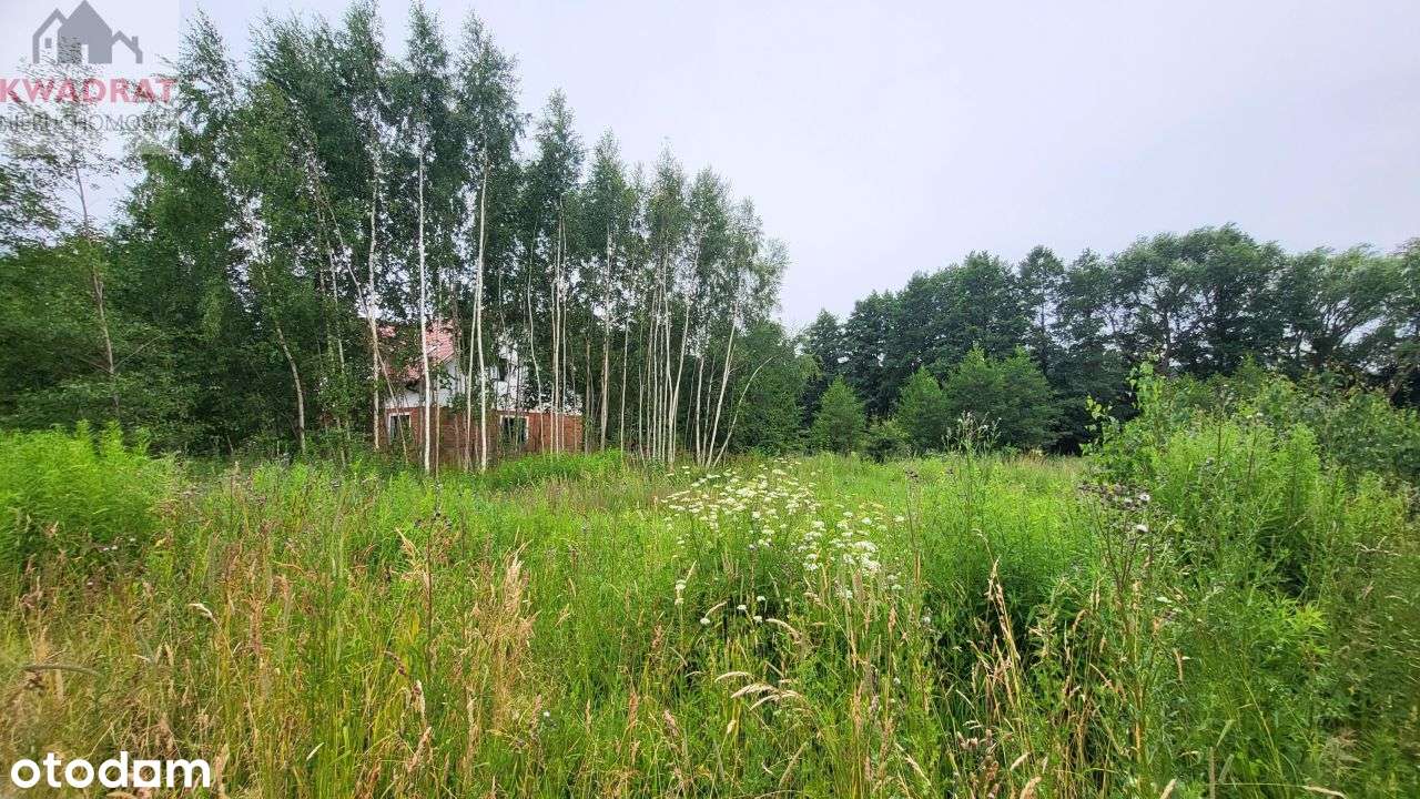 Działka z pozwoleniem na budowę - Zalew Wiślany-7