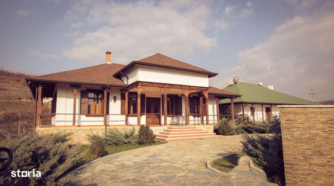 Podgorie de vita-de-vie nobila cu conac boieresc - Imagine principală: 4/10