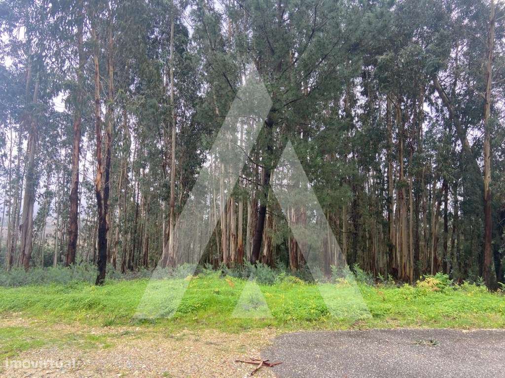 Terreno em Sangalhos - Grande imagem: 4/7