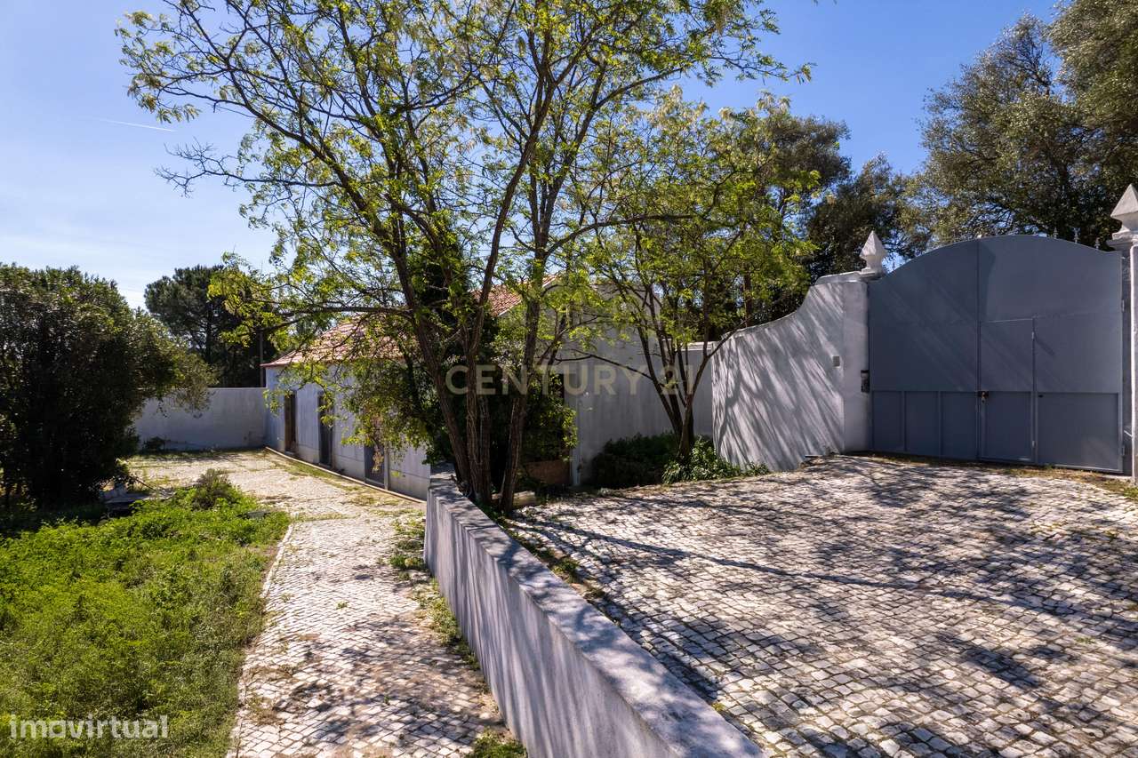 Emblemática Qta de Arronches Junqueiro c/ Piscina e 6025m2-15