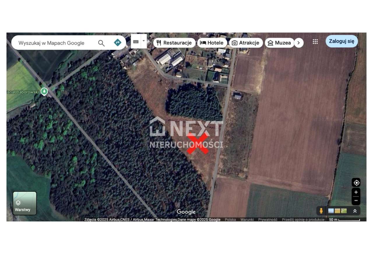 Nowy Podział Działek przy Lesie! Cisza!-6