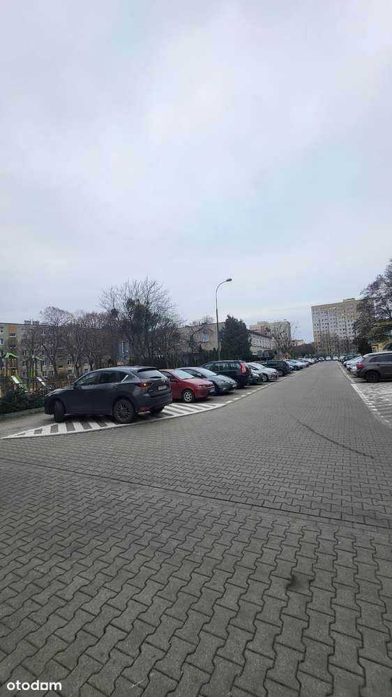 Tanie mieszkanie dwupokojowe na Winogradach - Pełny obrazek: 3/12